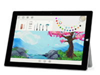 盐津Surface 无法开启、Windows 无法启动或电池无法充电